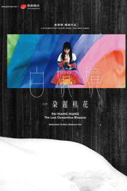白孃孃：一朵遲桂花 封面