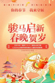 山东卫视春节联欢晚会 封面