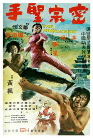 密宗圣手 封面