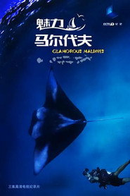 魅力马尔代夫 封面