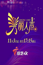 美丽人声 封面