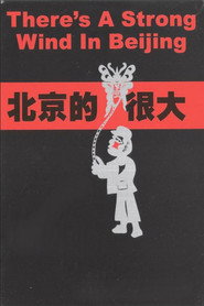 北京的风很大 封面