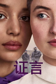 证言 封面
