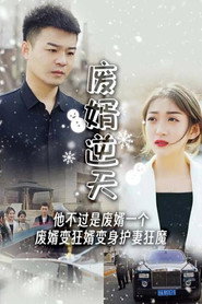 废婿逆天 封面