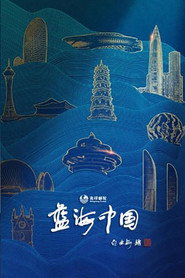蓝海中国 封面