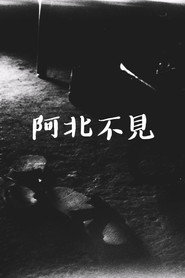 阿北不見 封面