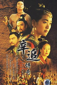 辛追传奇 封面