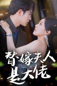 替嫁夫人是大佬 封面
