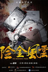 险金风云 封面