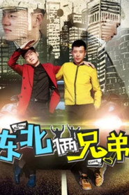 东北俩兄弟 封面