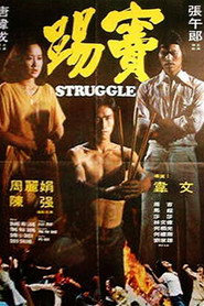 踢窦 封面