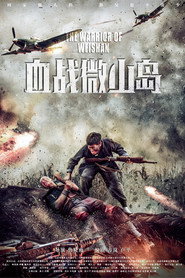血战微山岛 封面