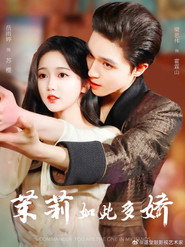 茉莉如此多娇 封面