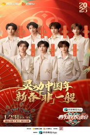 2025湖南卫视春节联欢晚会 封面