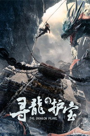寻龙护宝 封面