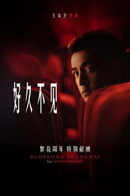 繁花剧场版 封面