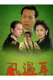风过耳 封面