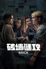 砖墙谜攻 封面