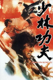 少林功夫 封面
