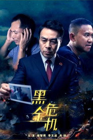 黑金危机 封面