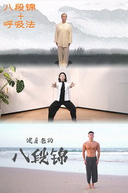 八段锦 合集 封面
