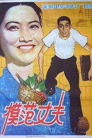 模范丈夫 封面