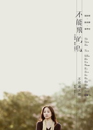 不能飛的鳥 封面