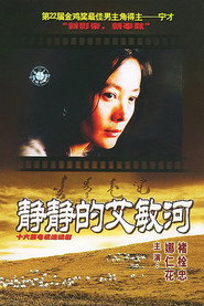 静静的艾敏河 封面