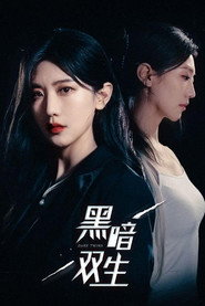 黑暗双生 封面