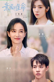 亲爱的生命 封面
