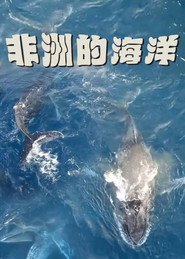 非洲的海洋 封面