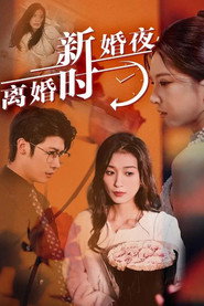 新婚夜,离婚时 封面