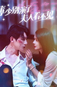薄少别演了，夫人看不见 封面