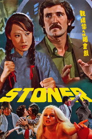 铁金刚大破紫阳观 封面