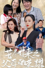 苦尽甘来之父母的荣耀 封面