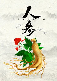 人参 封面