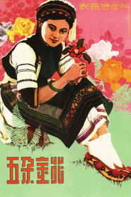 五朵金花 封面