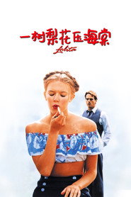 一树梨花压海棠 封面