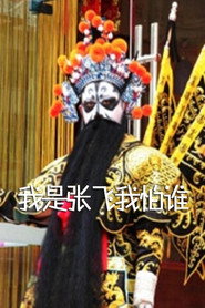 我是张飞我怕谁 封面