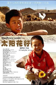 毛嗑儿 封面