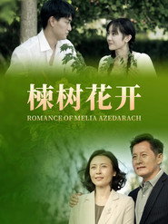 楝树花开 封面