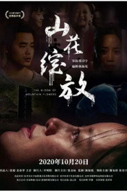 山花绽放 封面