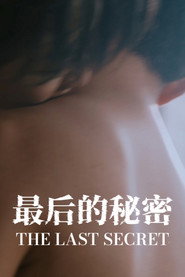 最后的秘密 封面