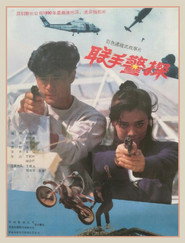 联手警探 封面