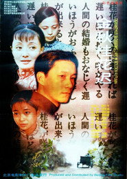 金秋桂花迟 封面