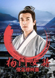 杨门女将之情定穆柯寨 封面