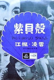 紫贝壳 封面