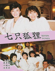 七只狐狸 封面