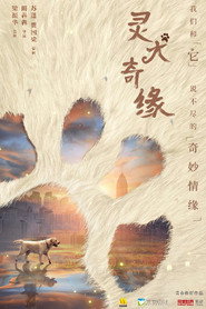 灵犬奇缘 封面