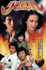 火凤凰 封面